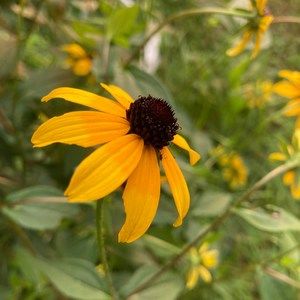 Meet your Posher, Aj